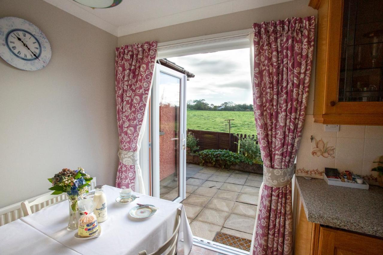 Goitre Bach Cottage Aberaeron Extérieur photo